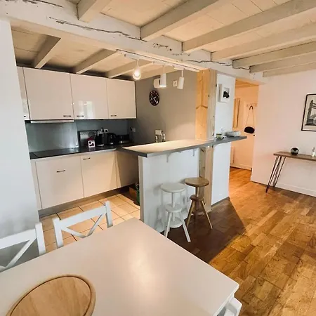 Apartment Beautiful Duplex Near Downtown Toulouse